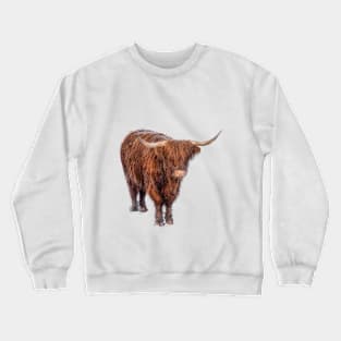 Highland Cow Crewneck Sweatshirt